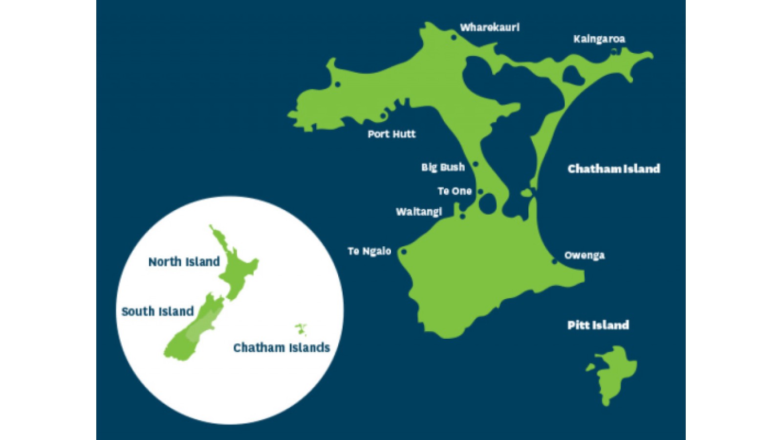 20260212 Chatham Islands map