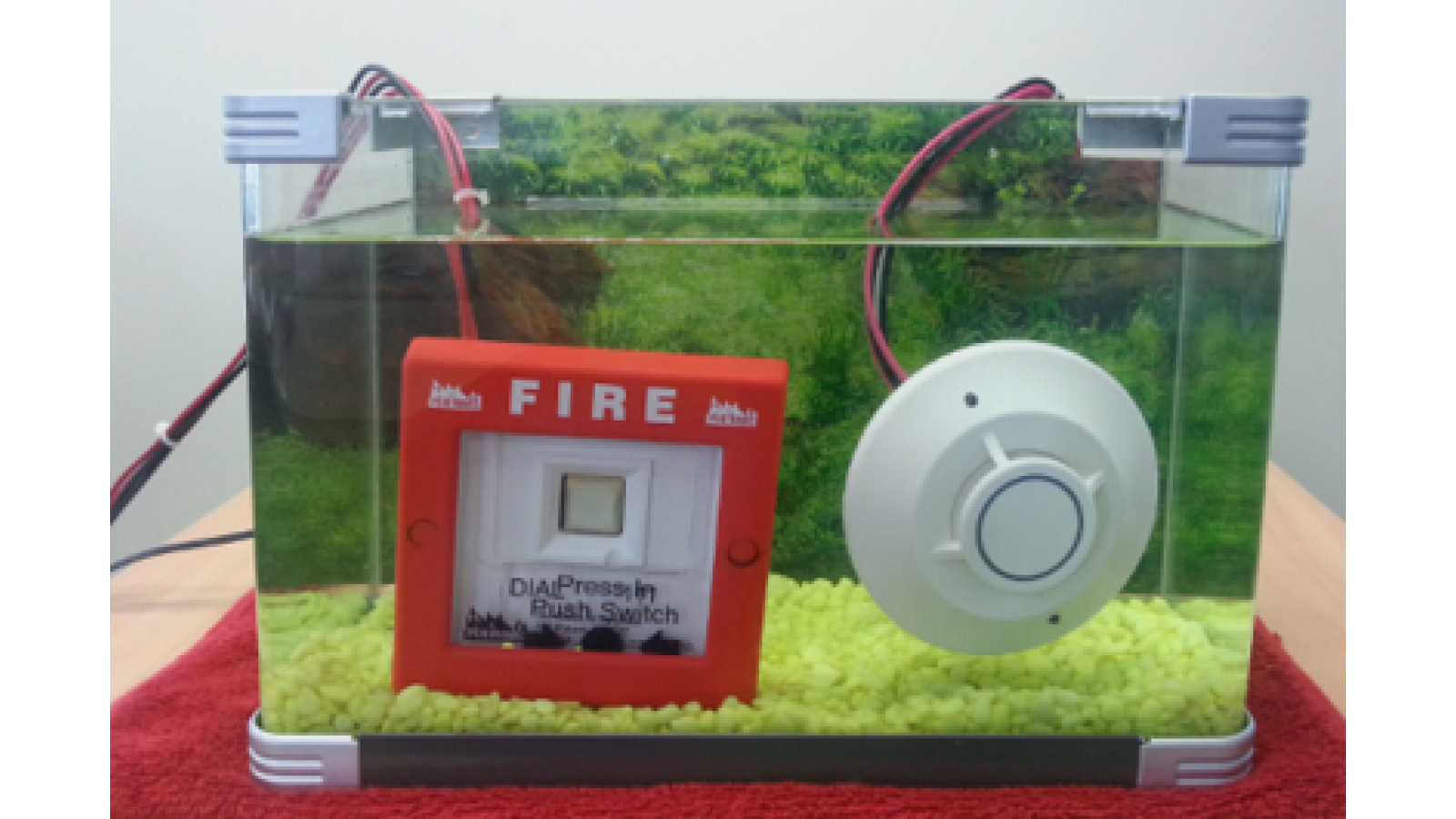 Fishtank